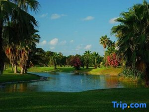 Гостиница Grand Oasis Cancun All Inclusive