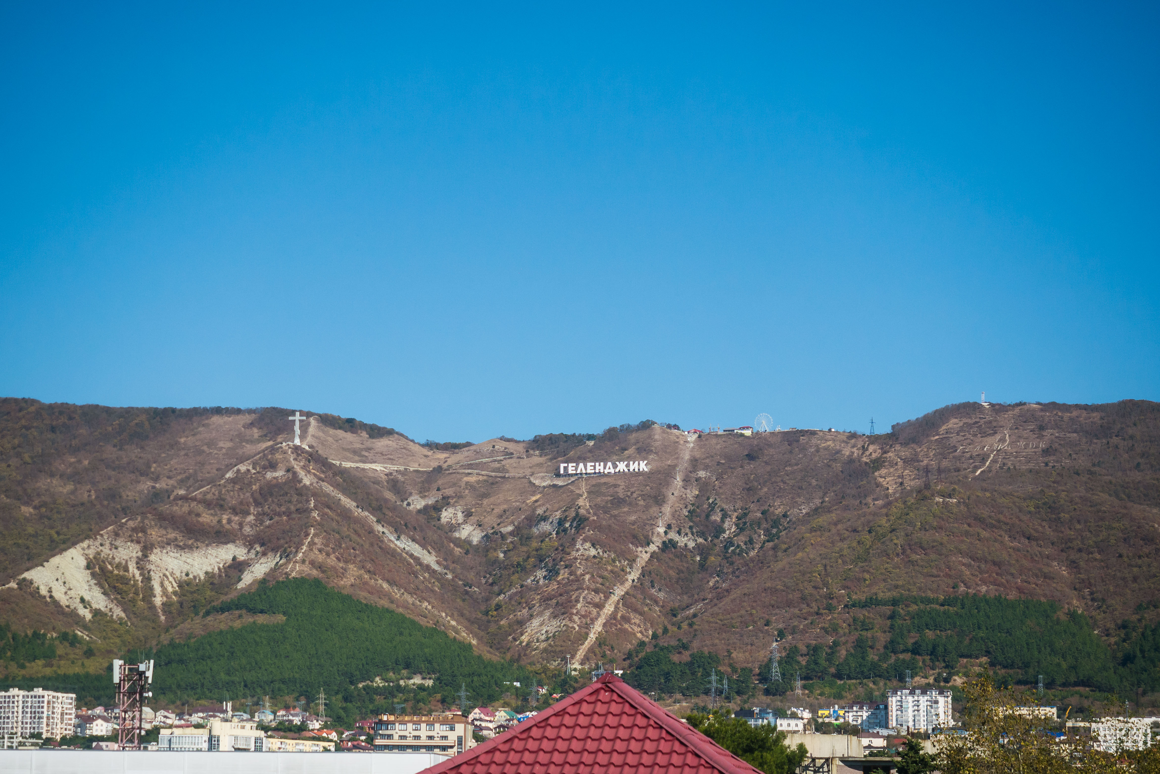 Фото Абрикос Плюс