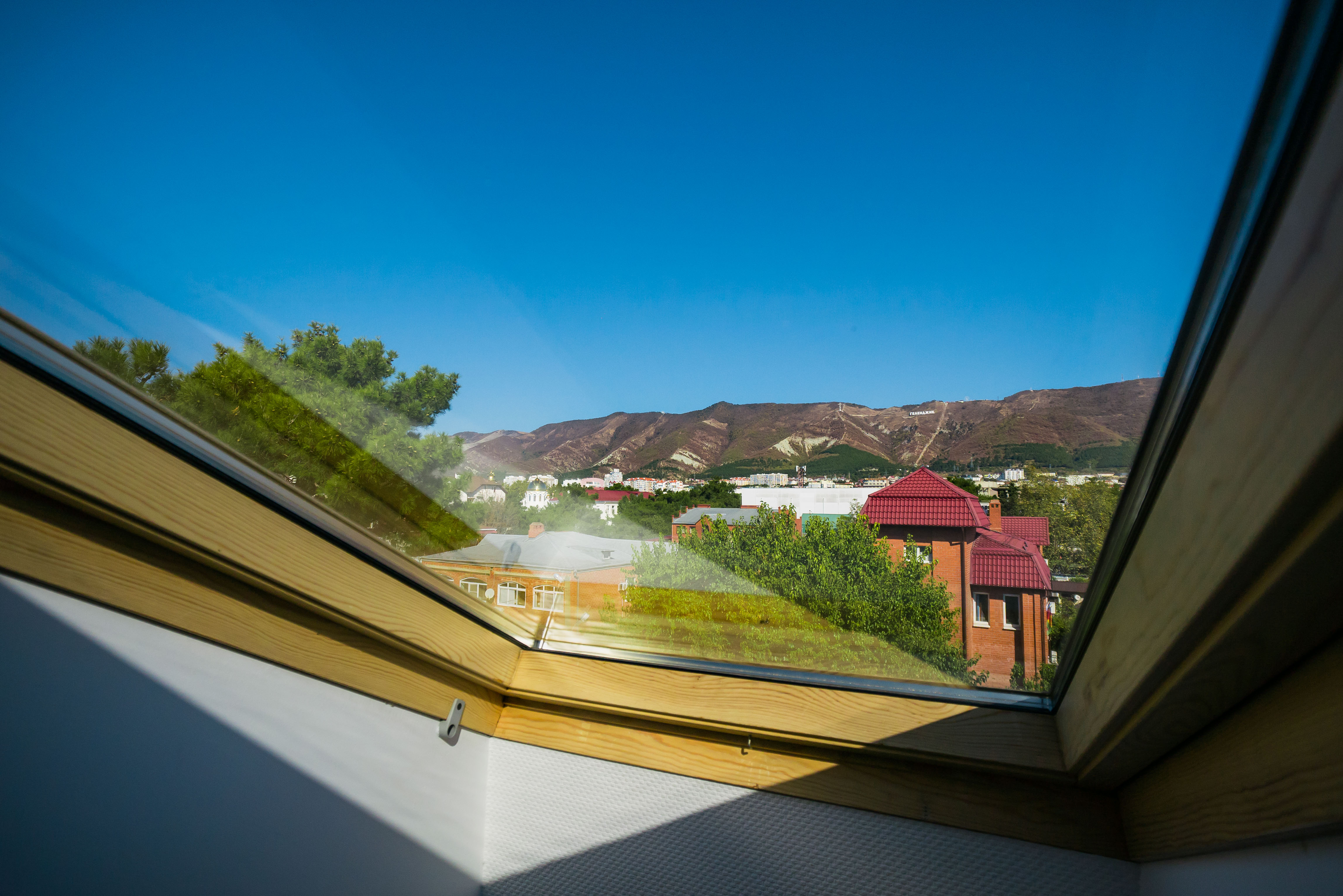 Фото Абрикос Плюс