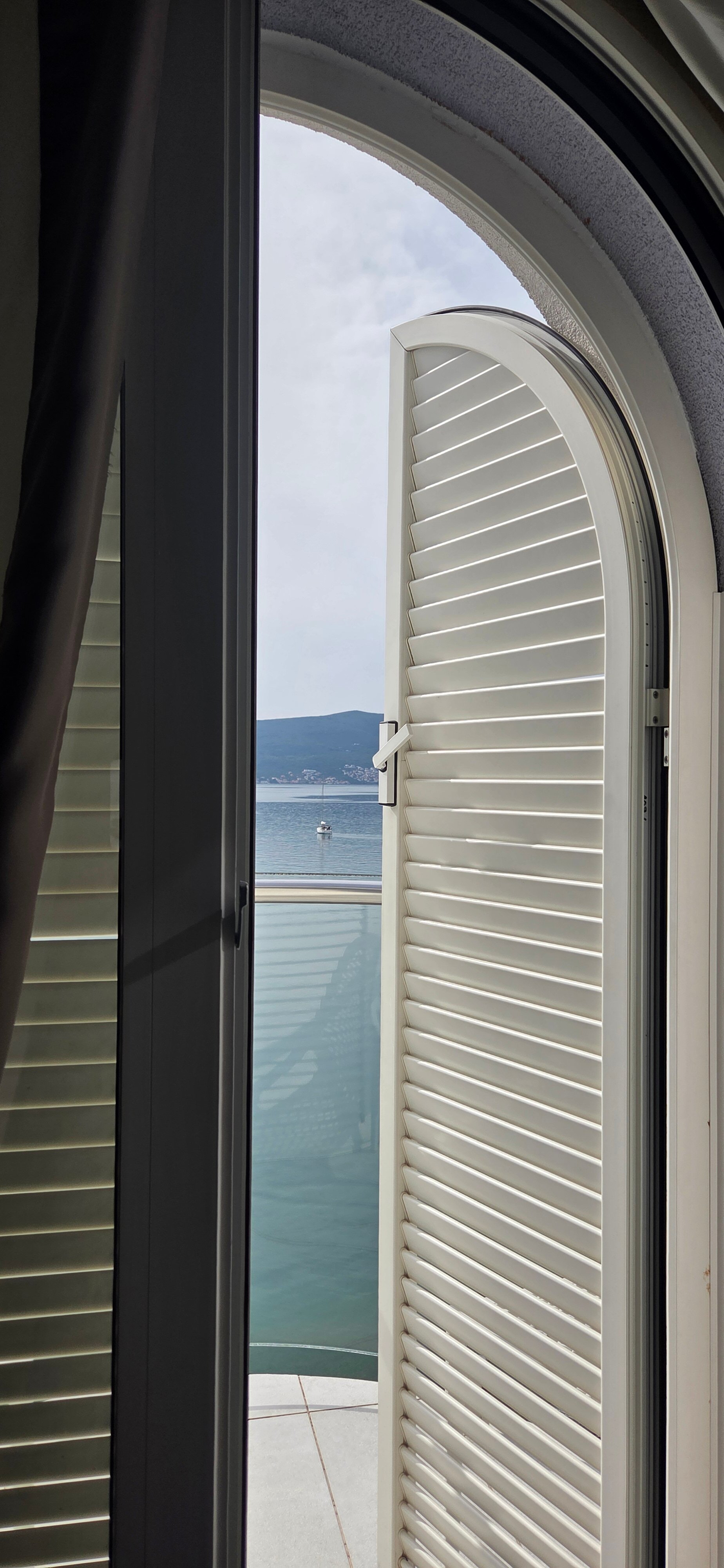 Фото Пальма