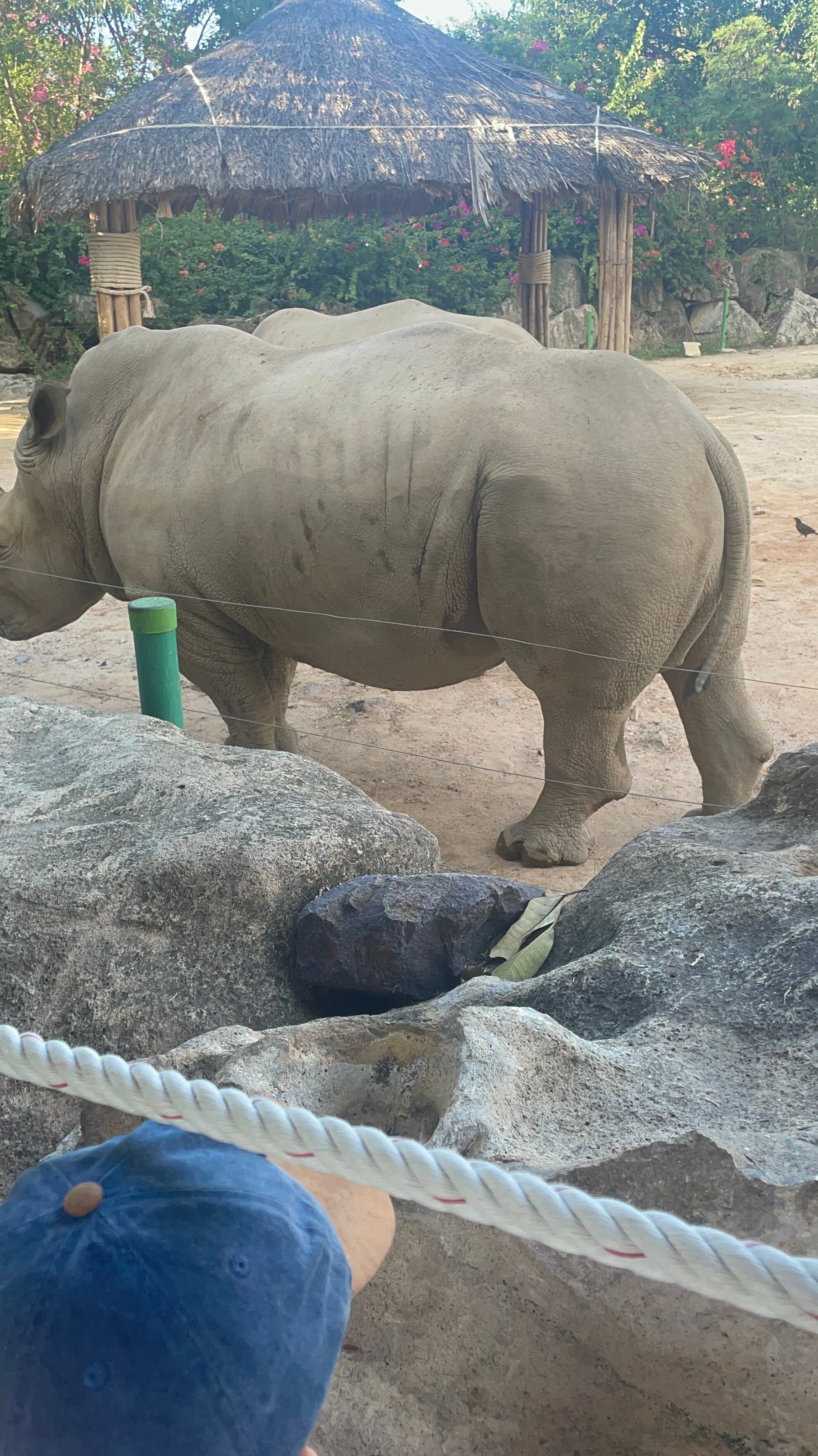 Фото Vinpearl Resort Nha Trang