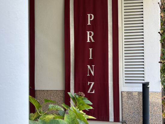 Фото Hotel Prinz