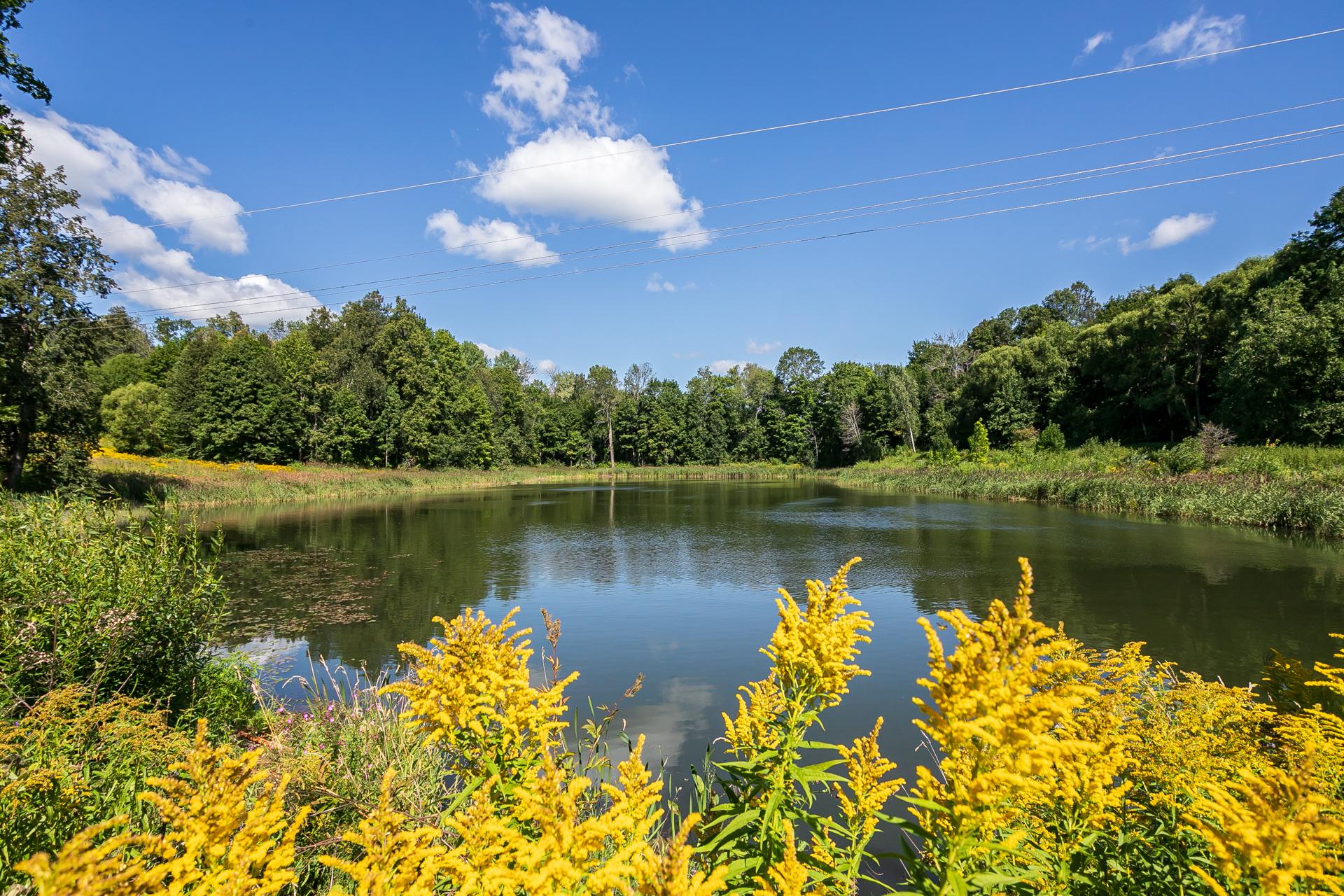 Фото Парк Самуйлово