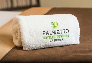 Гостиница Palmetto Hotel