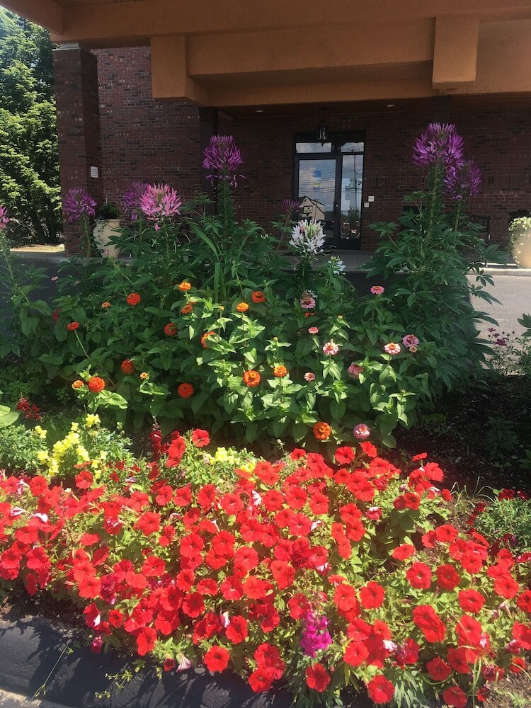 Фото Comfort Inn Ellsworth - Bar Harbor