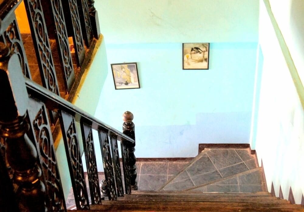 Фото Golden Bee PhiPhi 