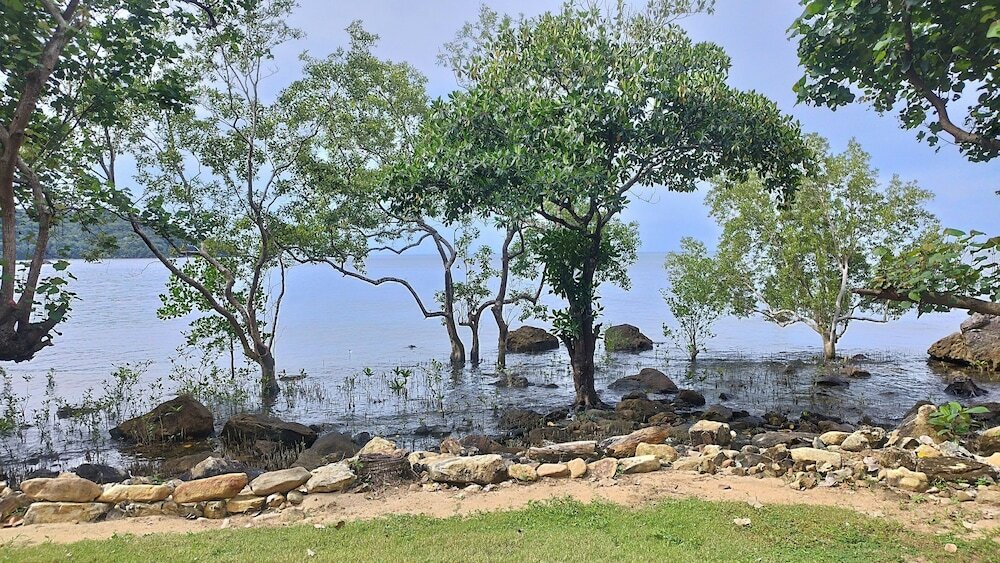 Фото Nest Sense Resort