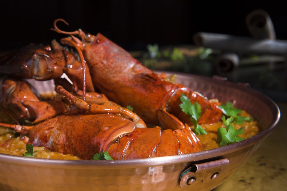 Фото Rocks Hotel