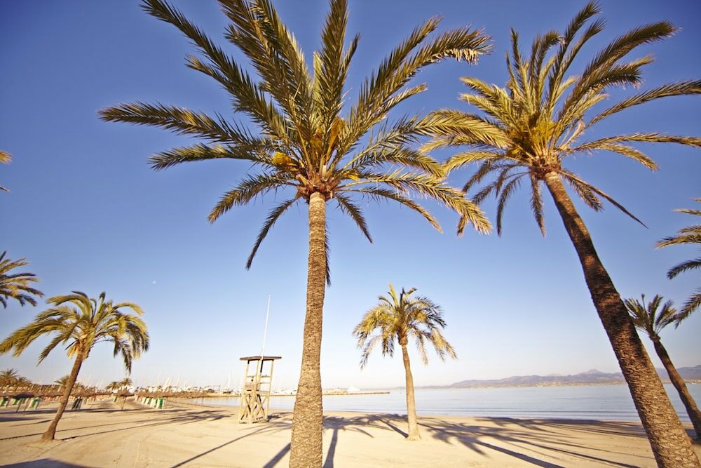 Фото MLL Palma Bay Club Resort Hotel