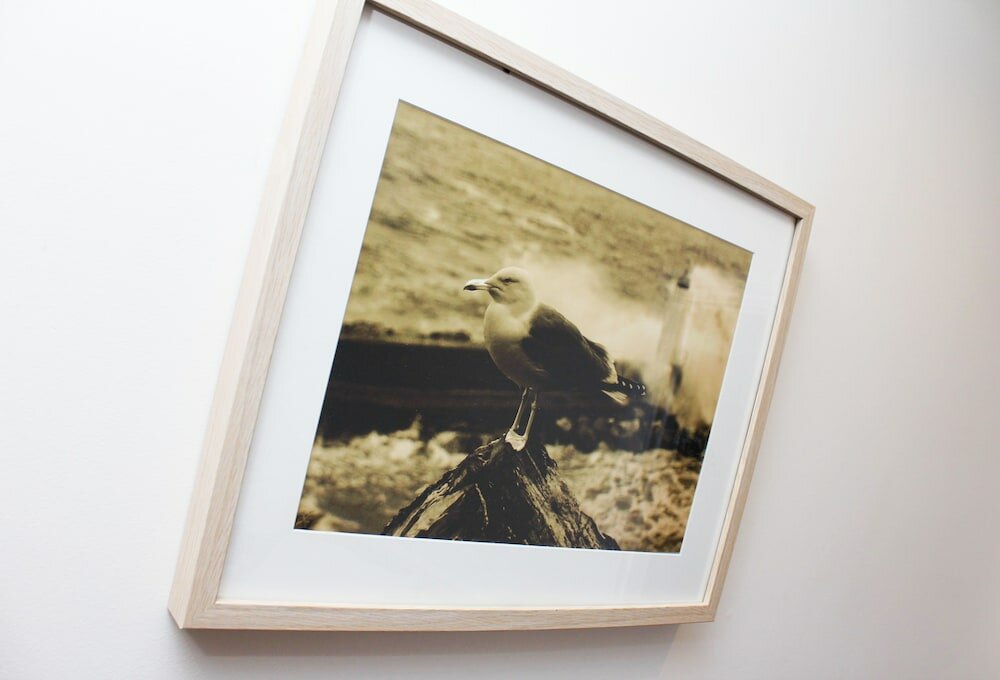 Фото Brentwood Guest House Hotel