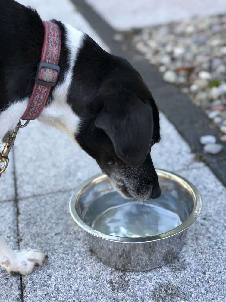 Фото Arc-En-Ciel Colmar