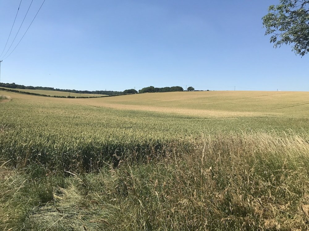 Фото The Bell at Boxford