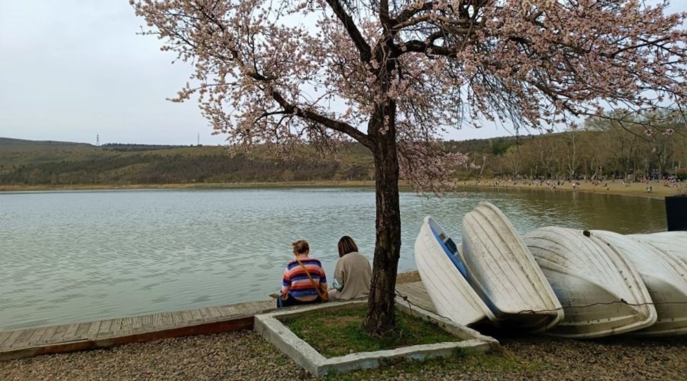 Фото Green Tower Hotel