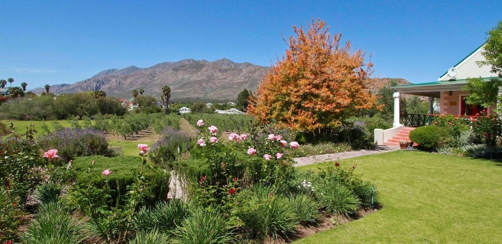 Фото Montagu Vines Guest House