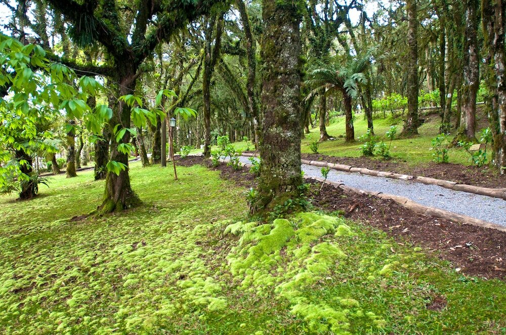 Фото Tri Hotel Canela