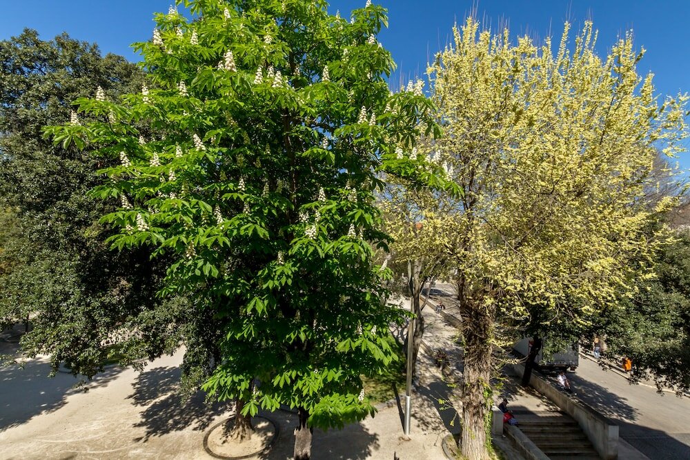 Фото Pellegrini Luxury Rooms