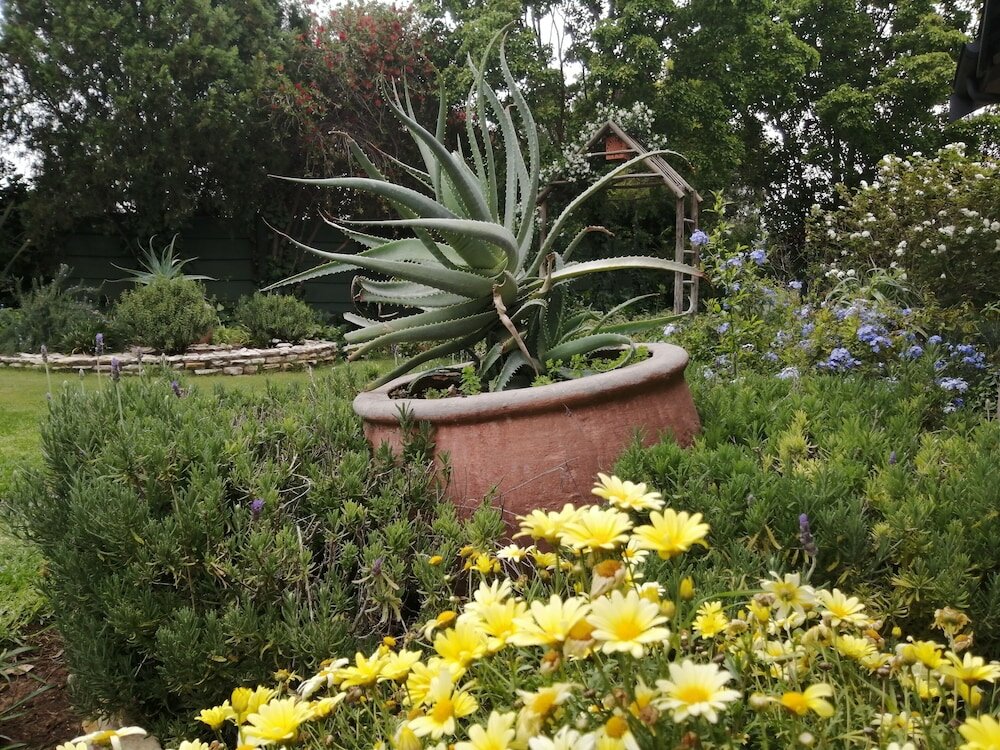 Фото Dias Guest House