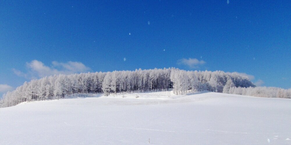 Фото Pension Hoshi Ni Negaiwo