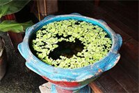 Фото Welcome Marina