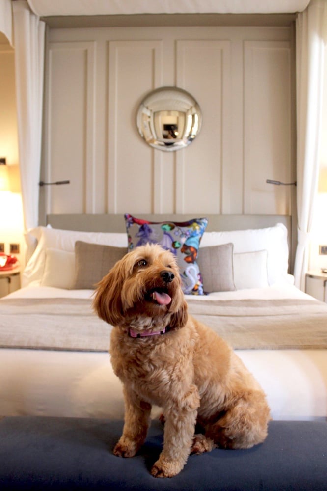 Фото Kimpton Fitzroy London