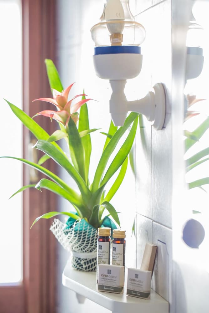 Фото B&b Palazzi