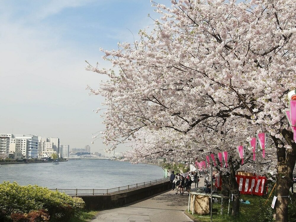 Фото Sakura Sky Hotel