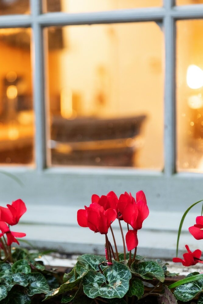 Фото Hotel Indigo Baton Rouge Downtown, an Ihg Hotel