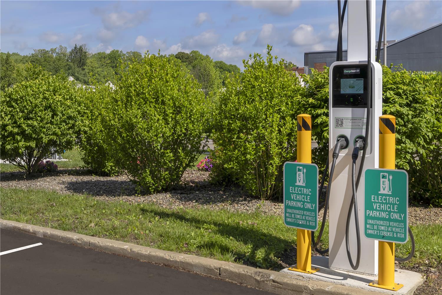 Фото Best Western Plus University Inn