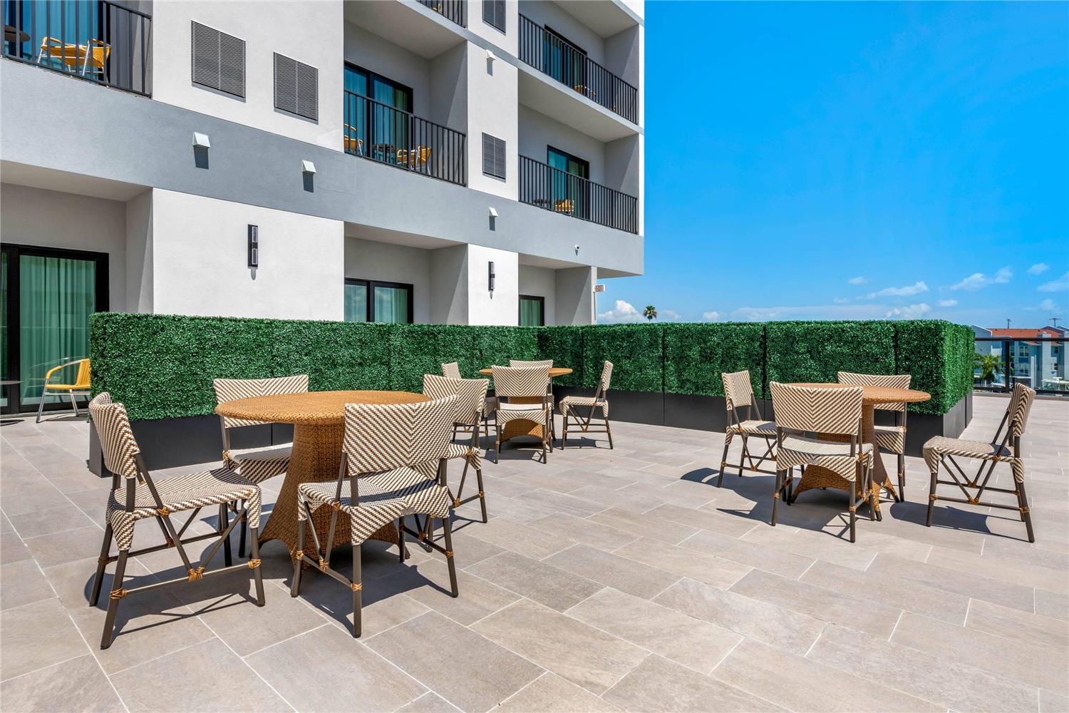 Фото Cambria Hotel St Petersburg-Madeira Beach Marina