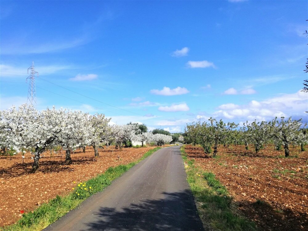 Фото Casina Dei Preti