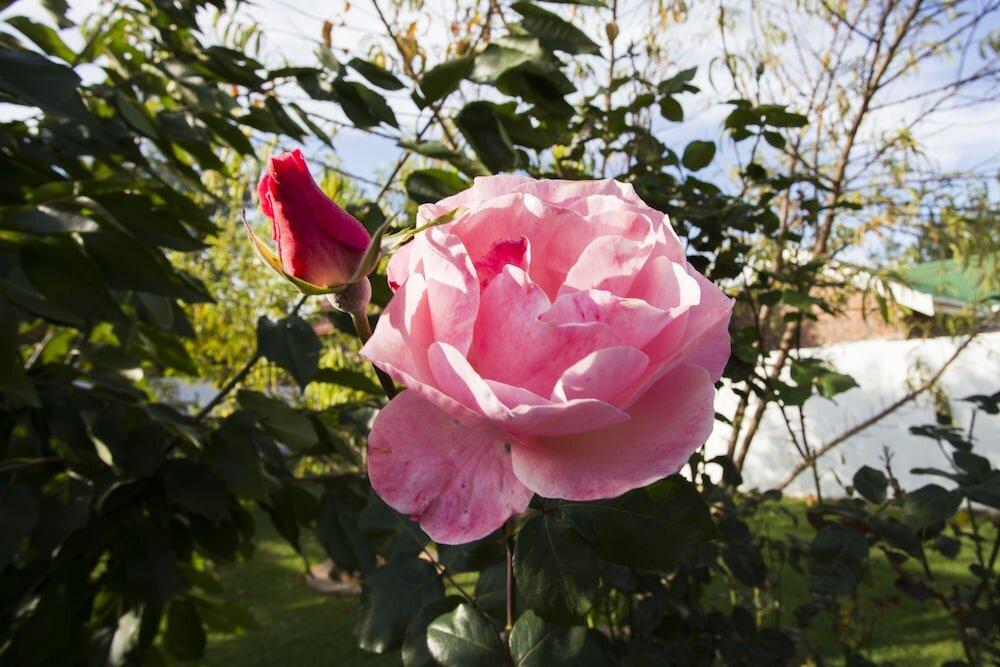 Фото The Browns' Luxury Guest Suites