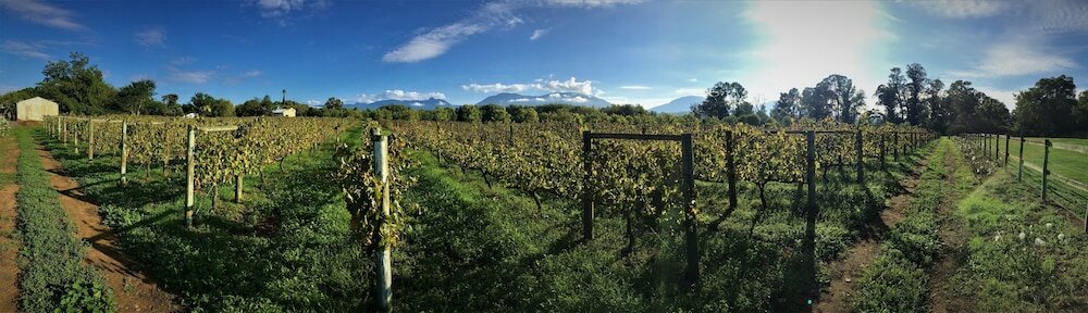 Фото De Doornkraal Vinotel