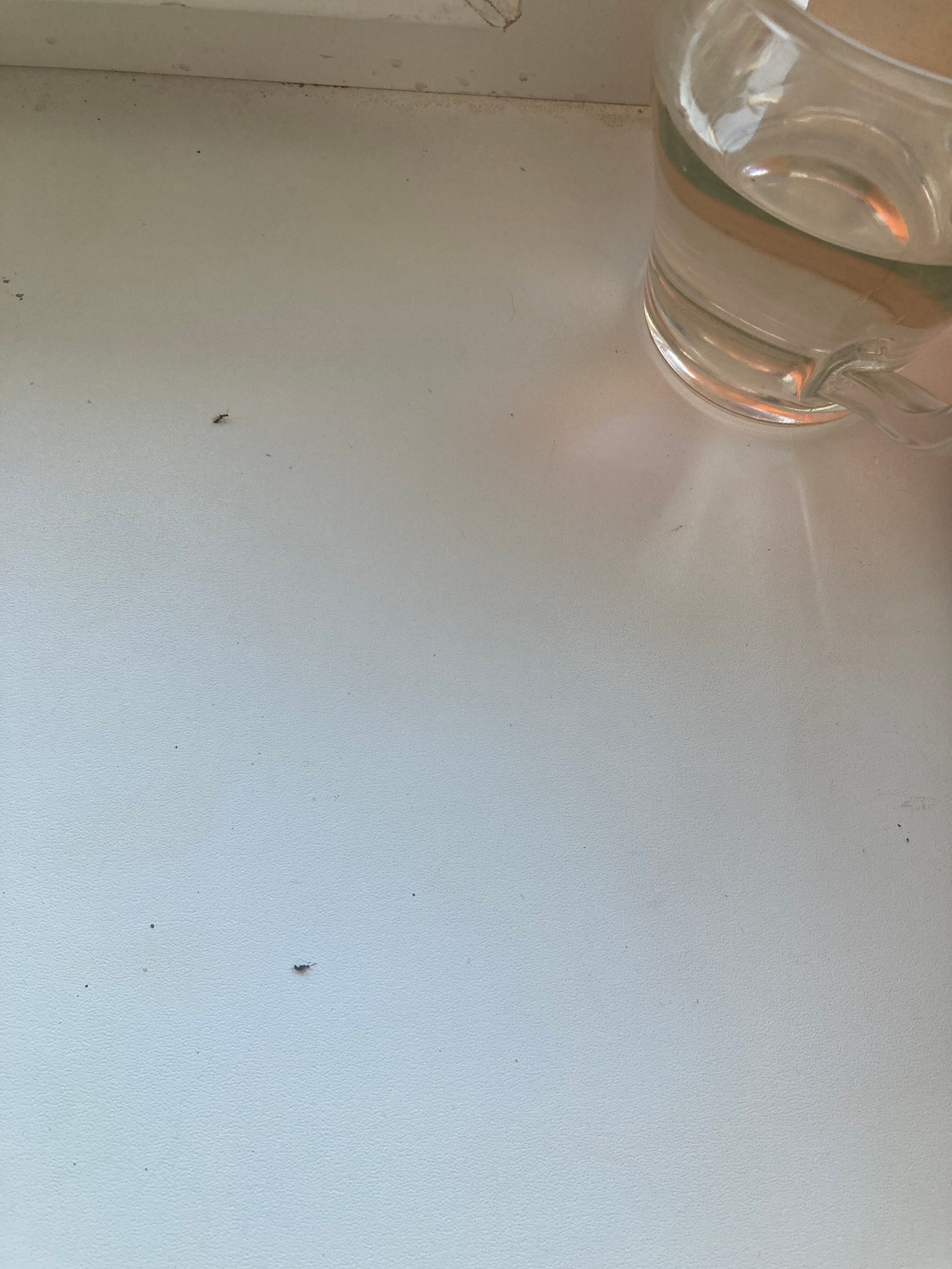 Фото Андреев Дом