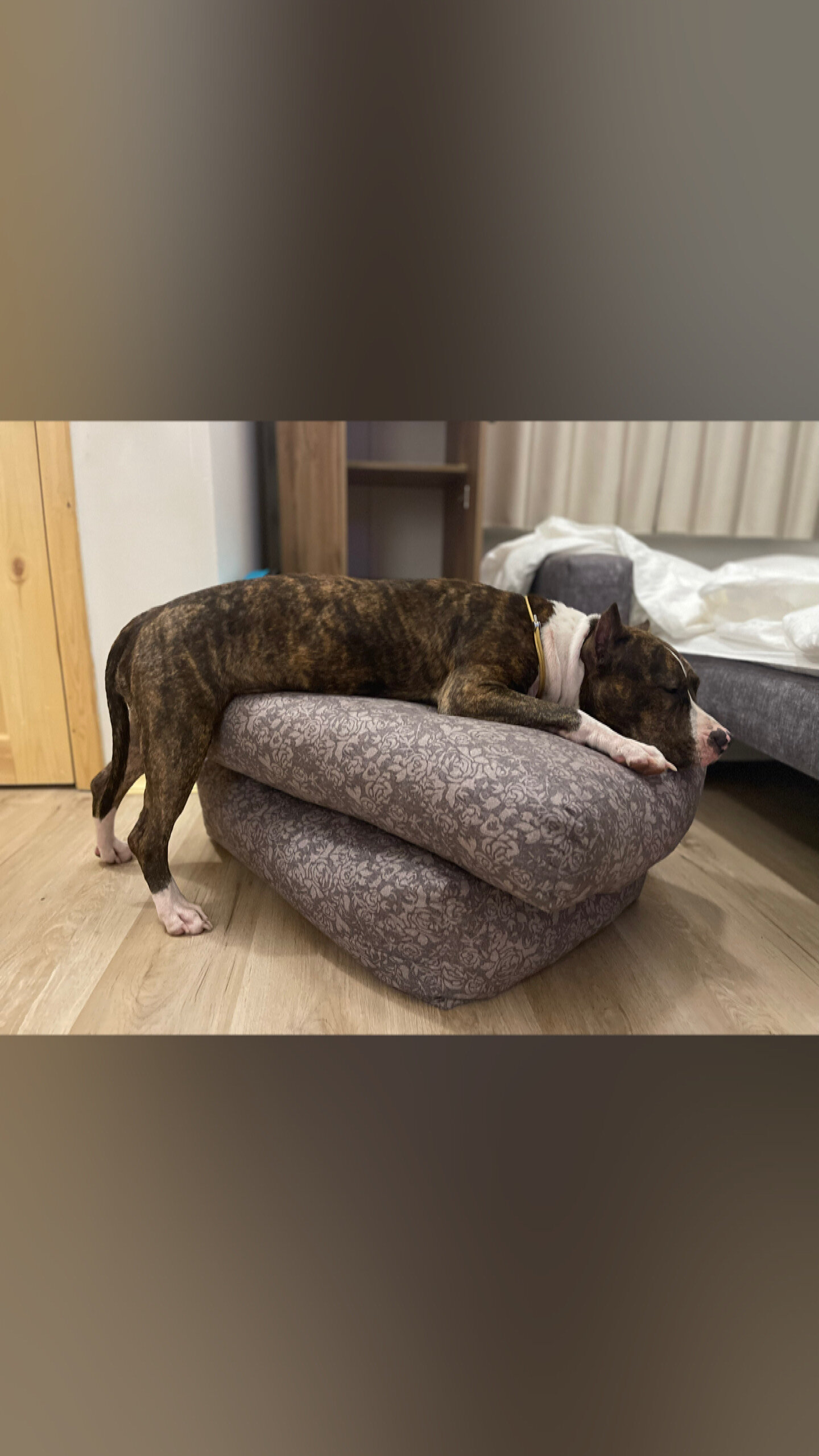 Фото Северная Венеция