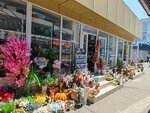 Посуда (Demokratichnaya Street, 40/6), tienda de vajillas