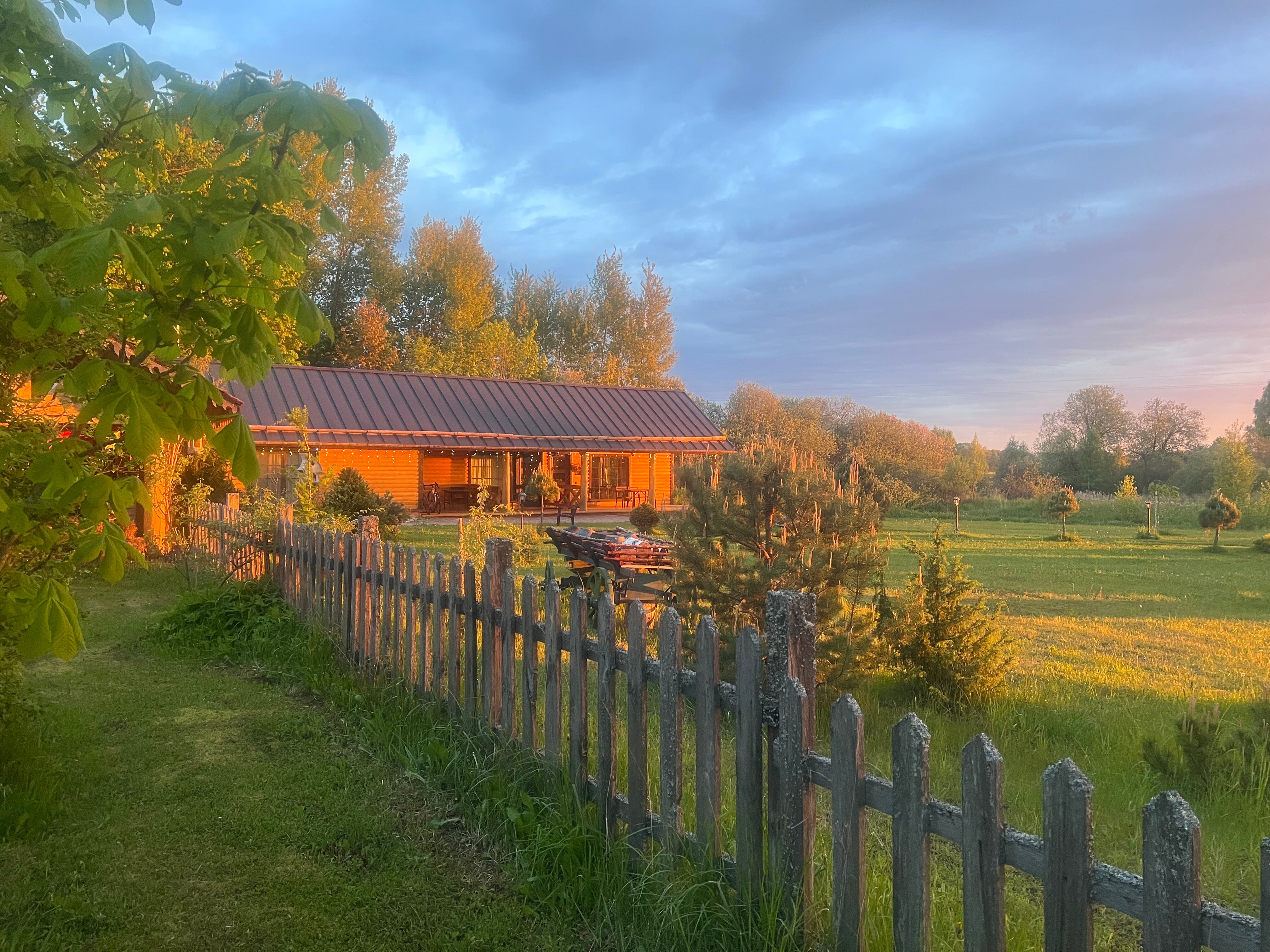 Фото У Лукоморья