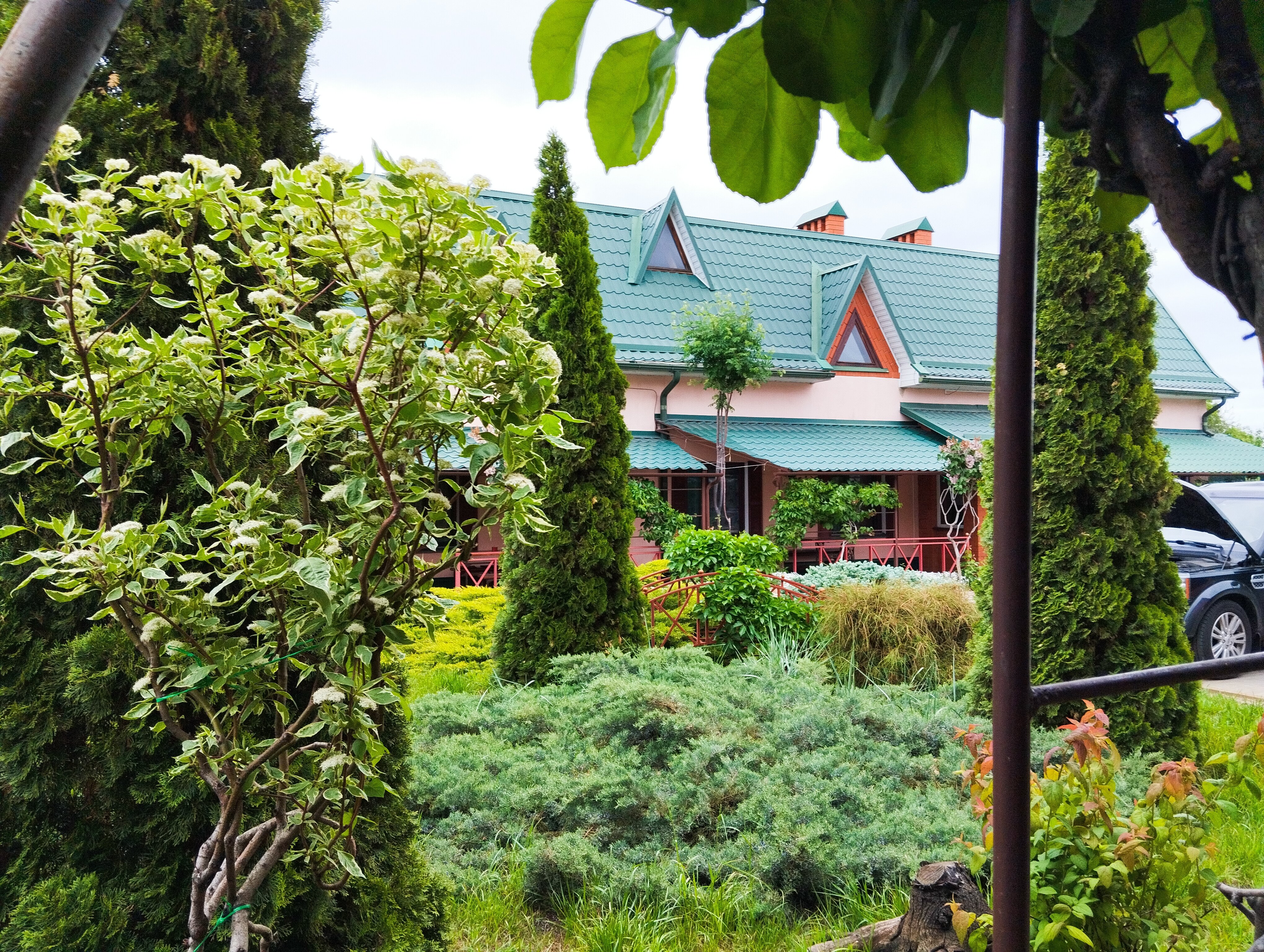 Фото Тольянка