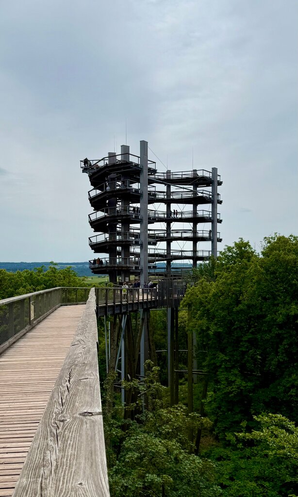 Observation deck Baumwipfelpfad Saarschleife, Saarland, photo