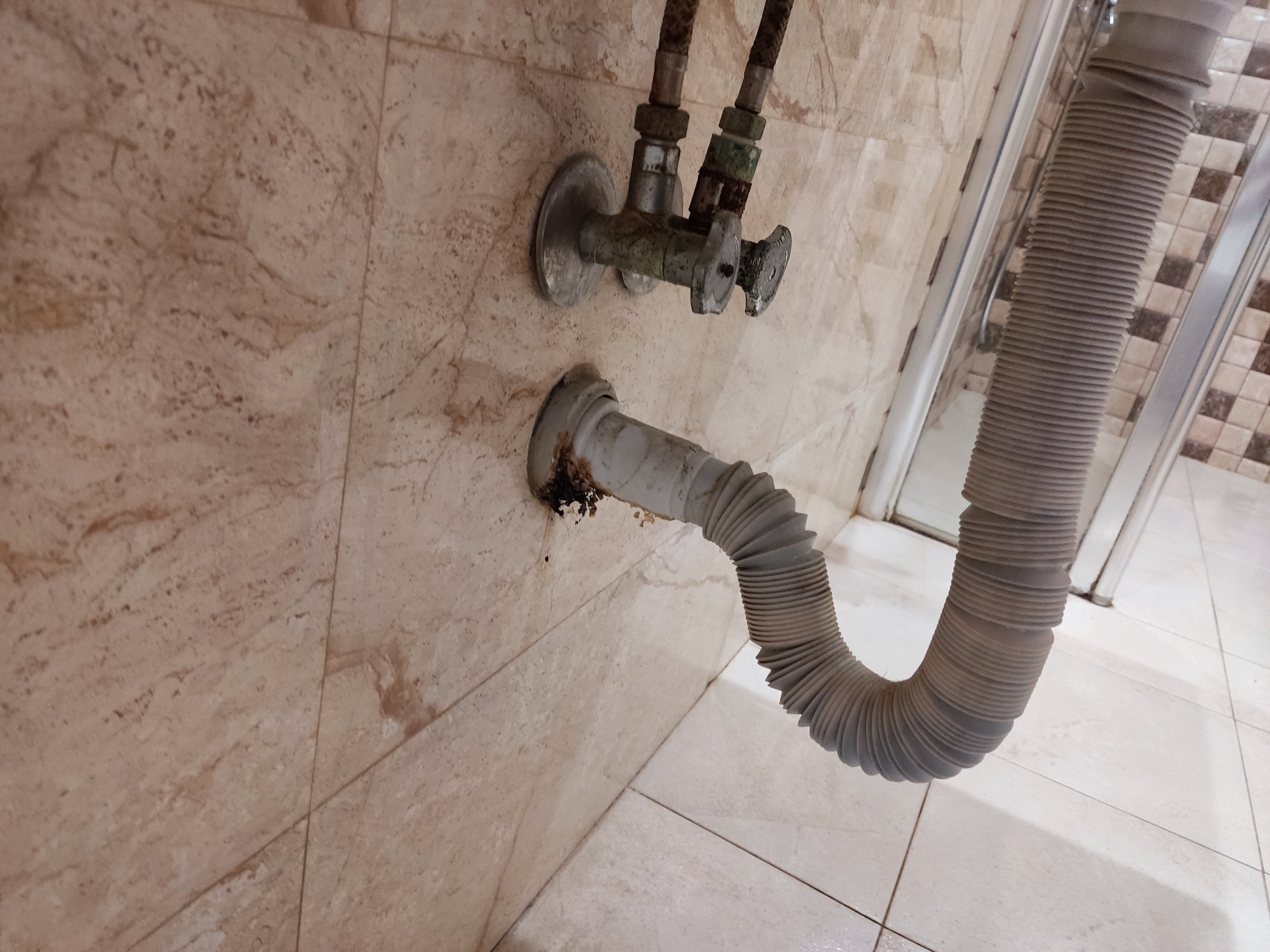 Фото Отель Maestro