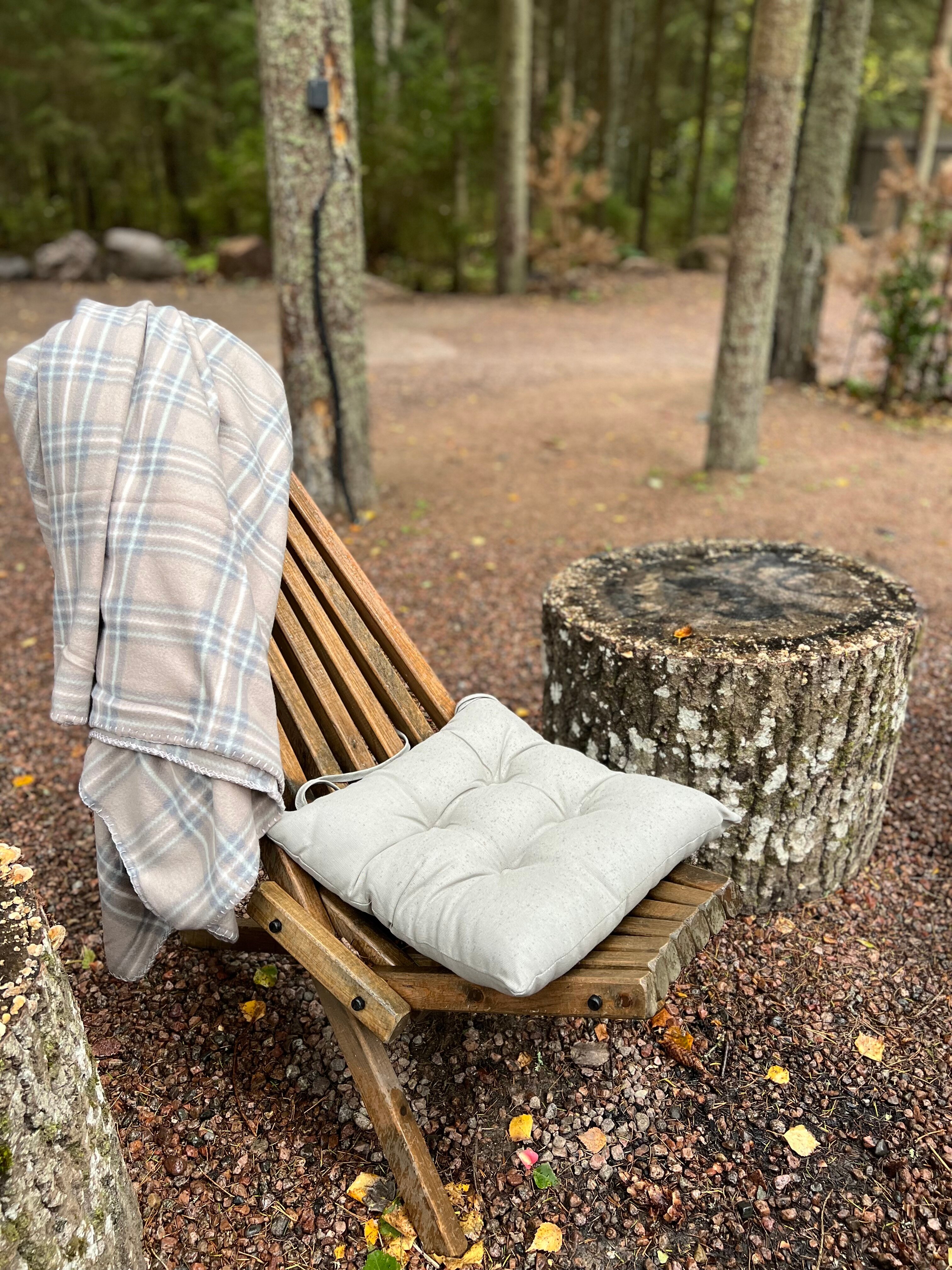 Фото Smell Of The Forest