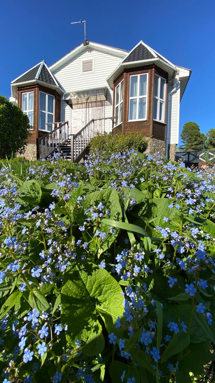 Фото Флагман