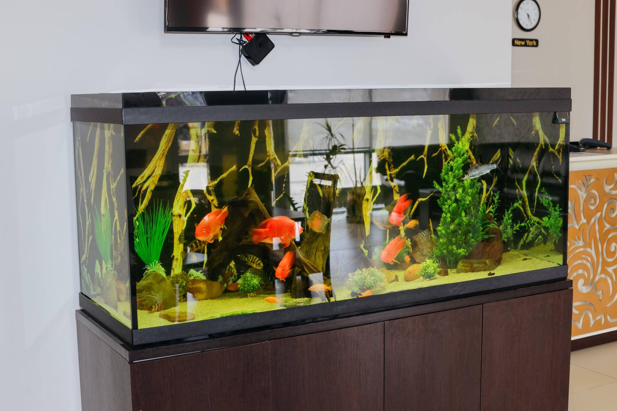 Фото Счастье