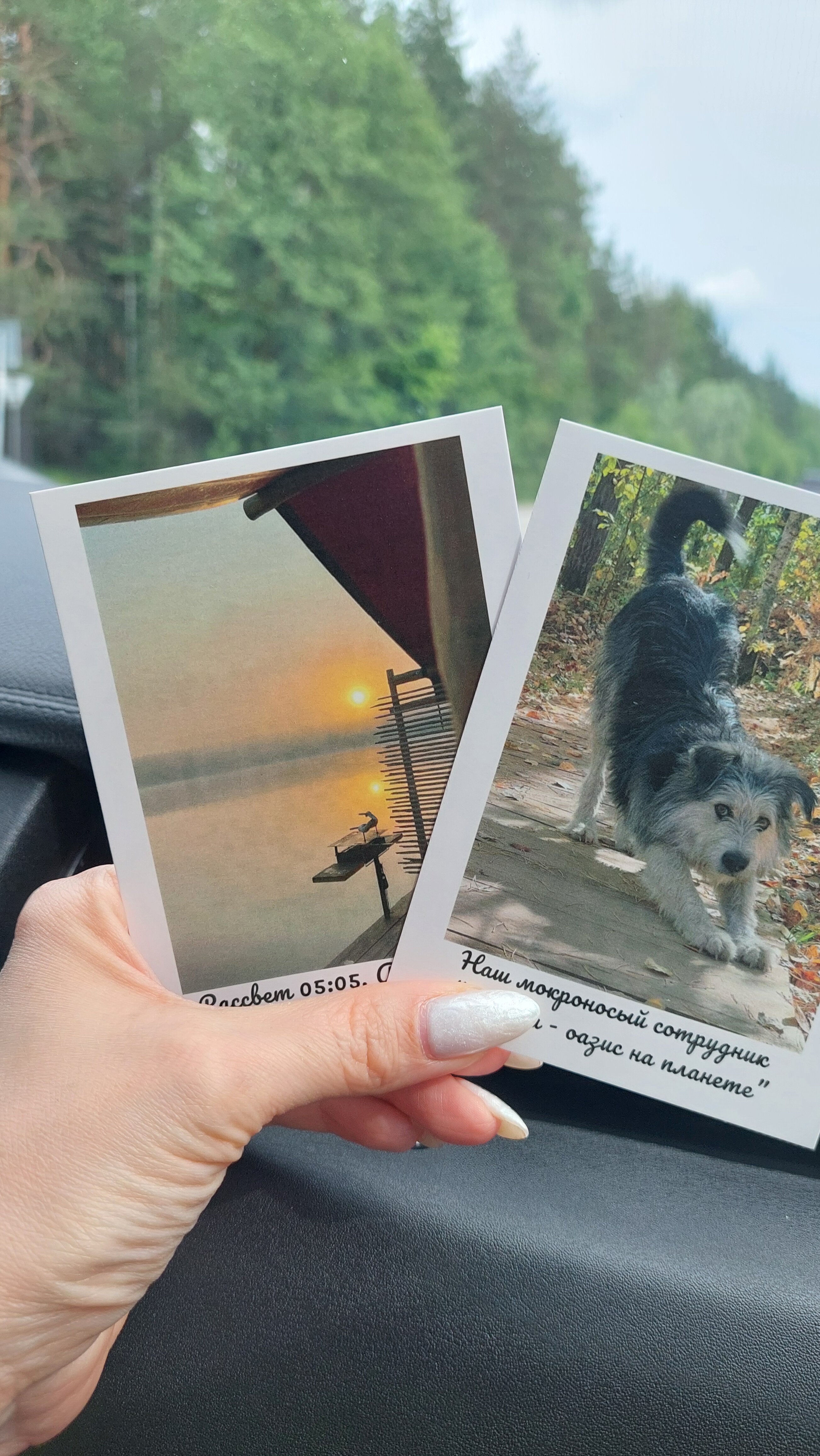 Фото Отель «Оланга»