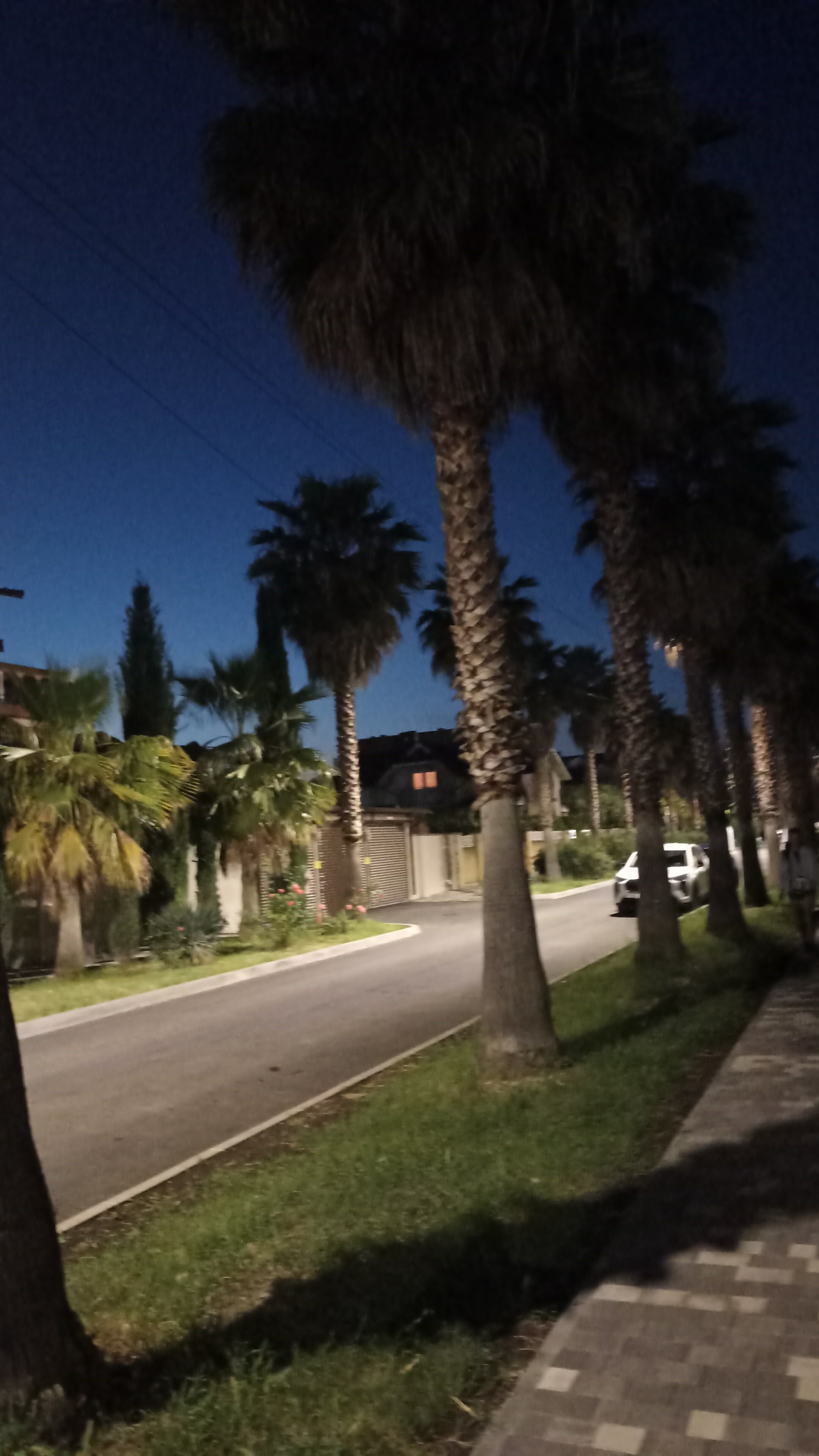 Фото Долина