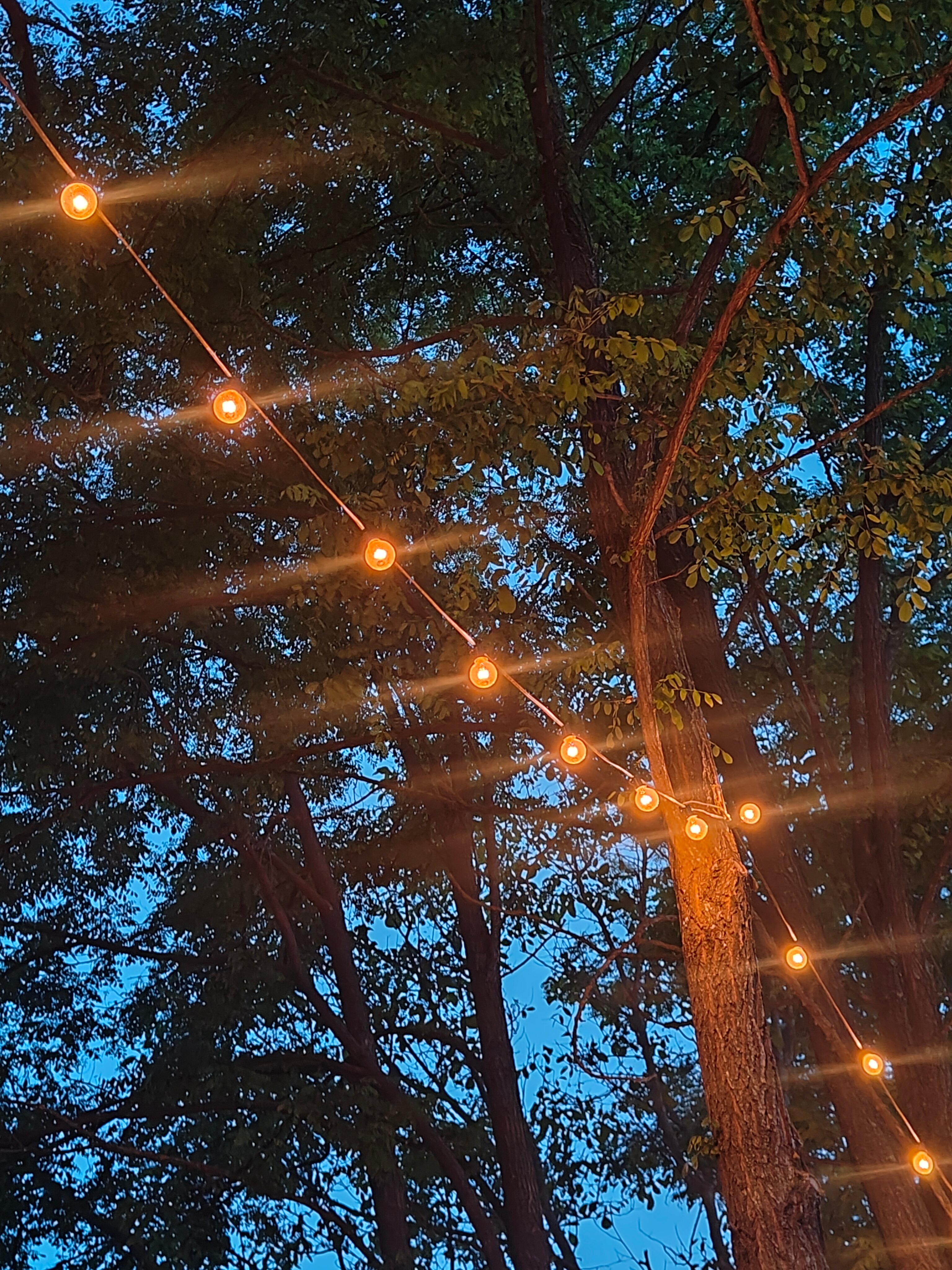 Фото Безмятежность