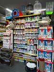 Bgr Pet Gross 2 - Petshop (Istanbul, Bagcilar, Maslak Avenue, 20A) ، متجر للحيوانات الأليفة