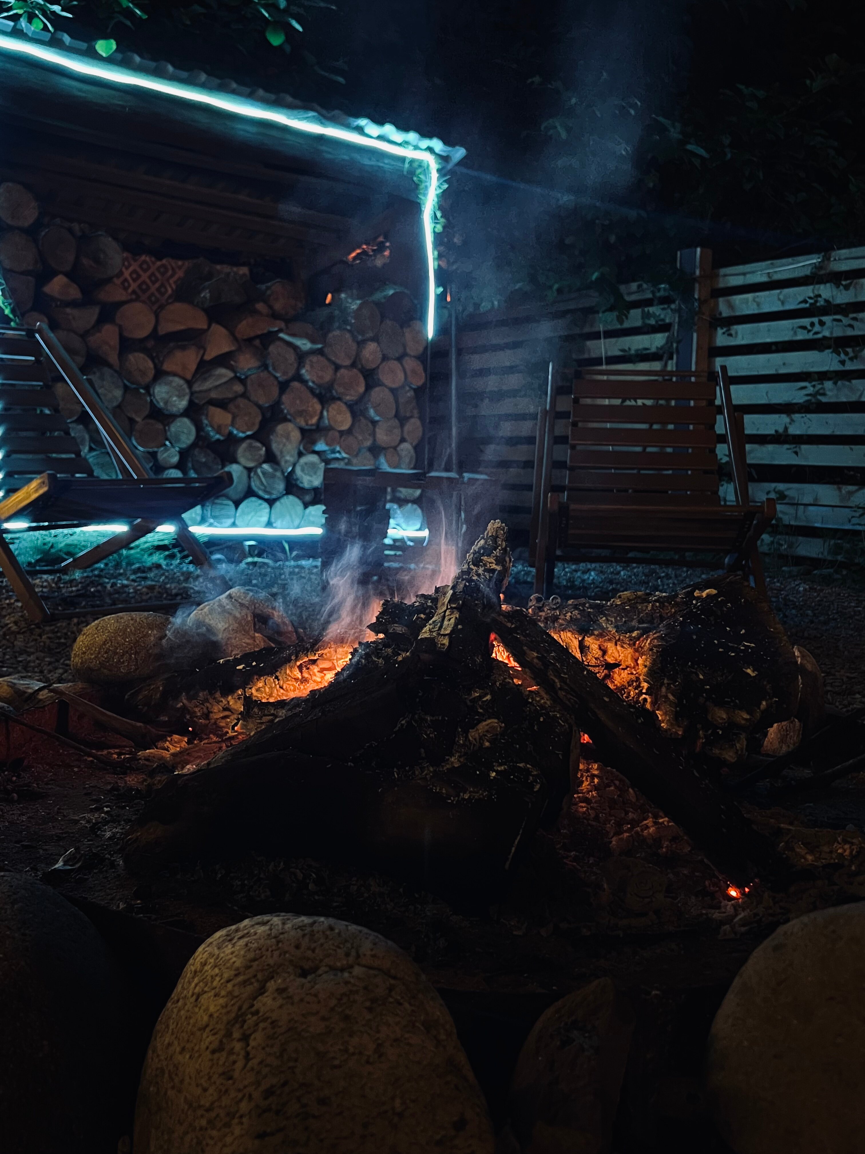 Фото Южный Вайб Древо