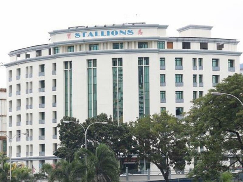 Гостиница Stallions Suite