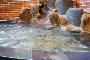 Гостиница Onsen Guest House Aobato no Su