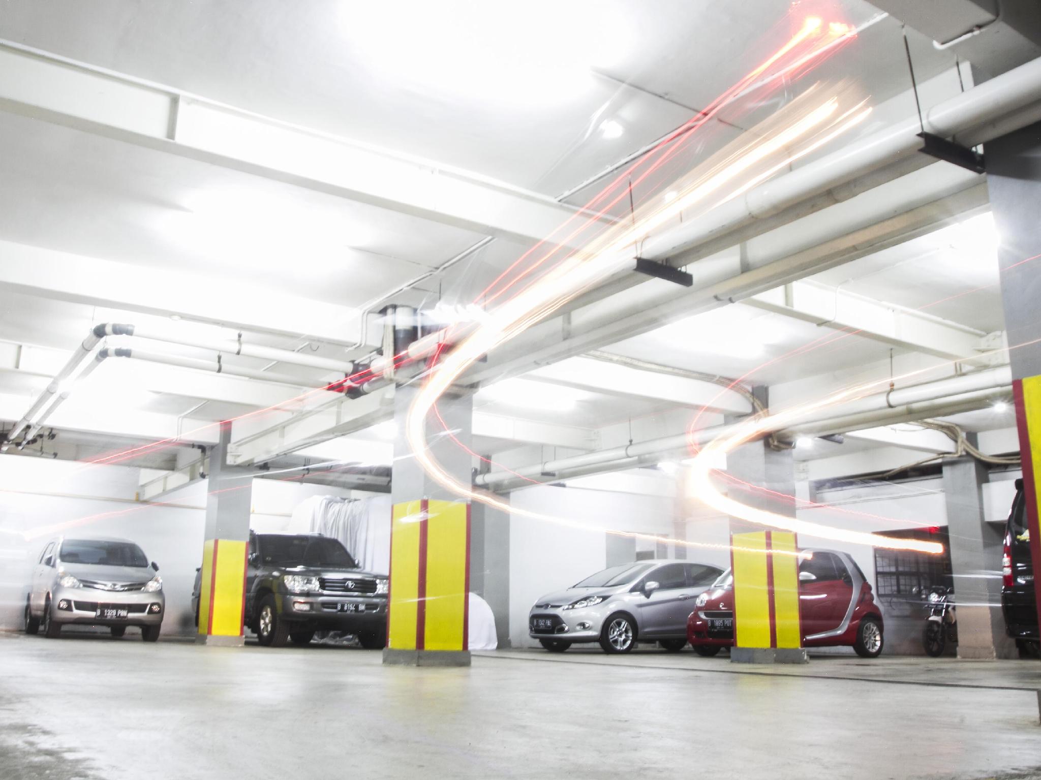 Фото House of Arsonia Tulip